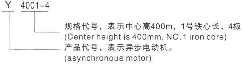 西安泰富西瑪Y系列(H355-1000)高壓三相異步電機(jī)型號說明
